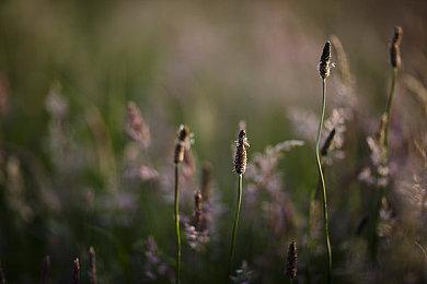 剧情模拟经营《犹格索托斯的庭院》在Steam开启免费试玩活动